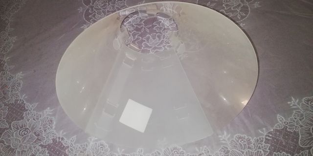 Collar Isabelino Perro talla 20 Hecho en España