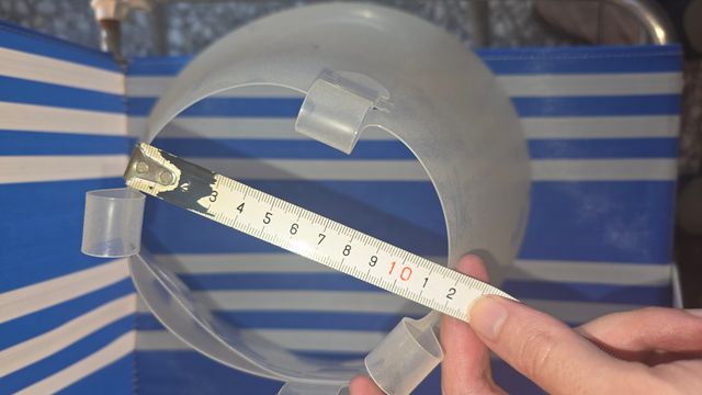 Collar Isabelino Perro talla 20 Hecho en España