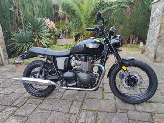 TRIUMPH BONNEVILLE T100 BLACK EDITION (Custom)