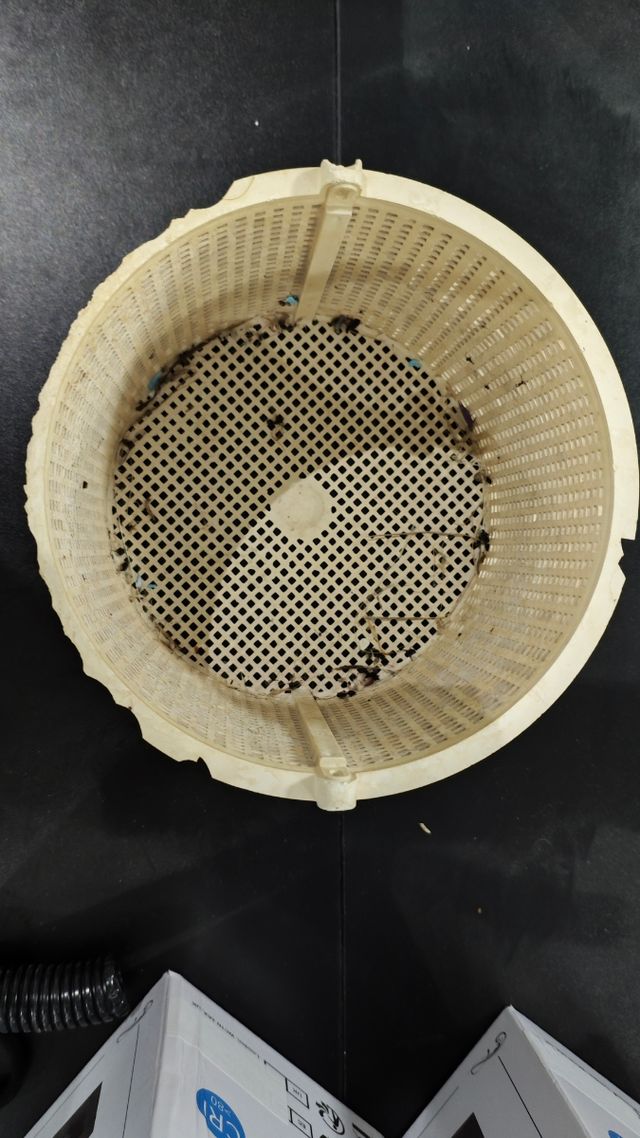 Cesto skimmer Hayward SP1082