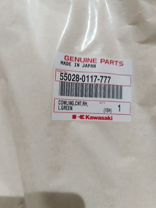 Carenado lateral Kawasaki ninja RER-6f