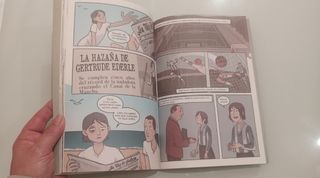 Irene, a porteira Gallego Cómic libro Juvenil 