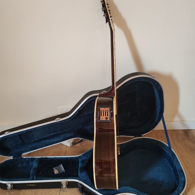 Guitarra, funda y amplificador