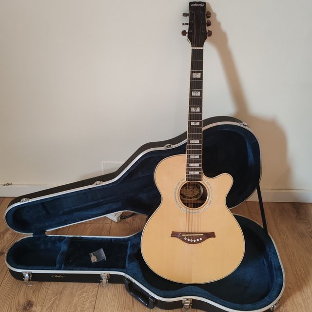 Guitarra, funda y amplificador