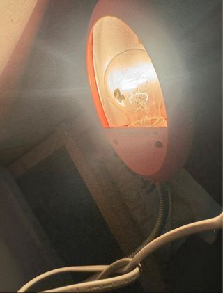 Lampada da tavola 