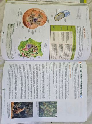 Biología y Geología 1º Bachillerato Tesela Libro del Alumno