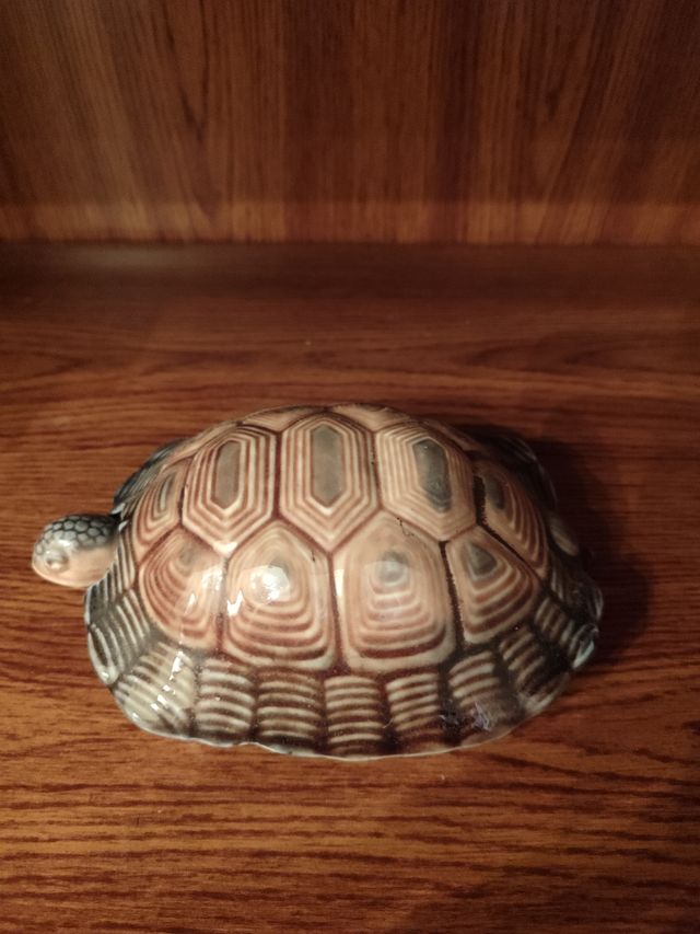 Figura Tortuga
