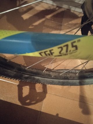 Bicicleta