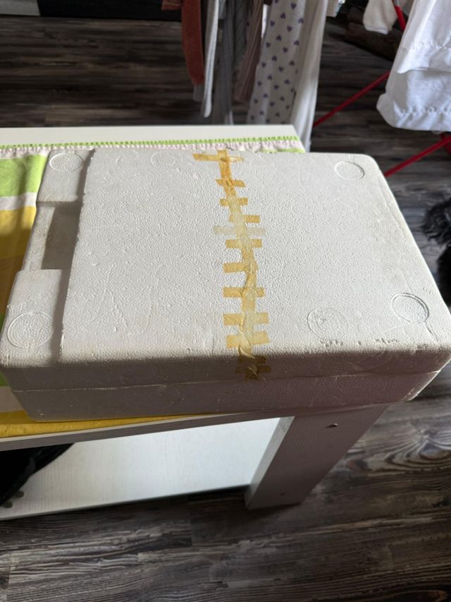 Nintendo nes completa PAL uk