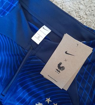 Tuta nike blu francia