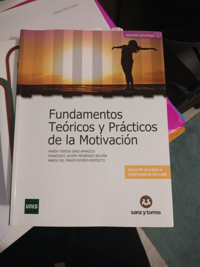 Fundamentos Teóricos y Prácticos de la Motivación (Spanish Edition)