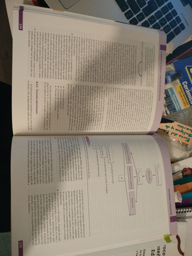 Fundamentos Teóricos y Prácticos de la Motivación (Spanish Edition)