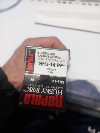 Rapala husky jerk shj-14 pf