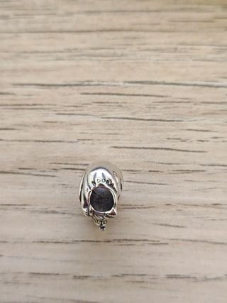 Charm de plata Hermione Granger Harry Potter 