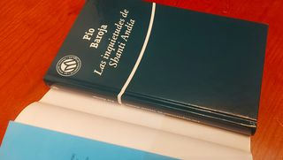 Baroja . Las inquietudes de Shanti Andía