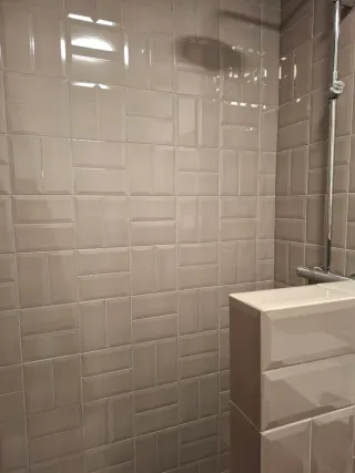 Yesero y pladur y pintura reformas de baños