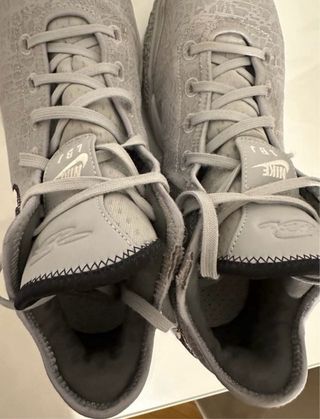 Zapatillas nike lebron XX