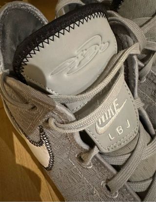 Zapatillas nike lebron XX