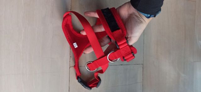 Pettorina taglia M come nuova