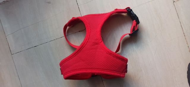 Pettorina taglia M come nuova