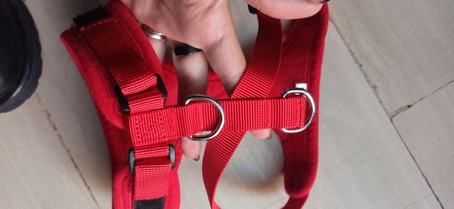 Pettorina taglia M come nuova