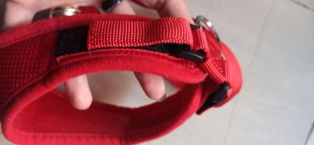 Pettorina taglia M come nuova