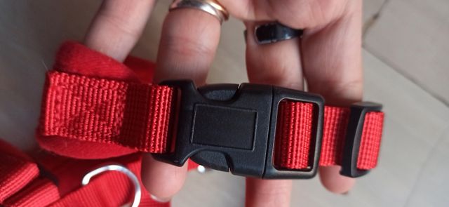 Pettorina taglia M come nuova