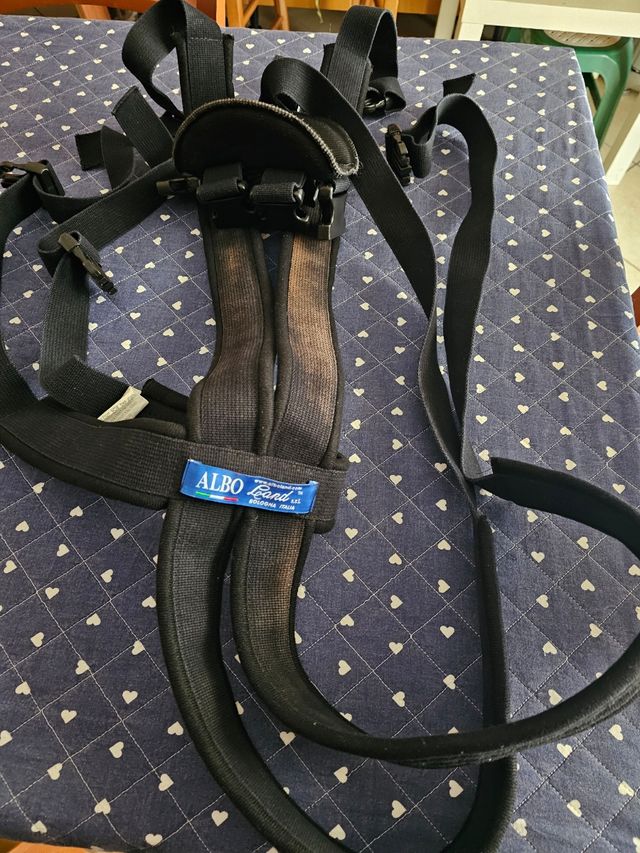 Ragno per persone disabili