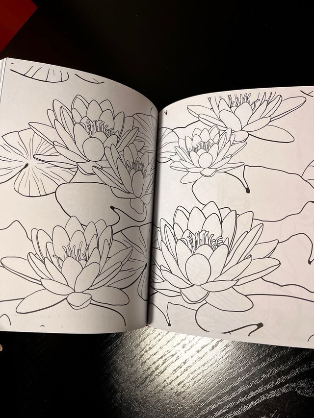 Libro mandalas colorear