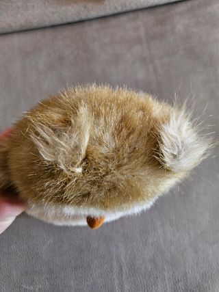 Gufo Owl Peluche Vintage 