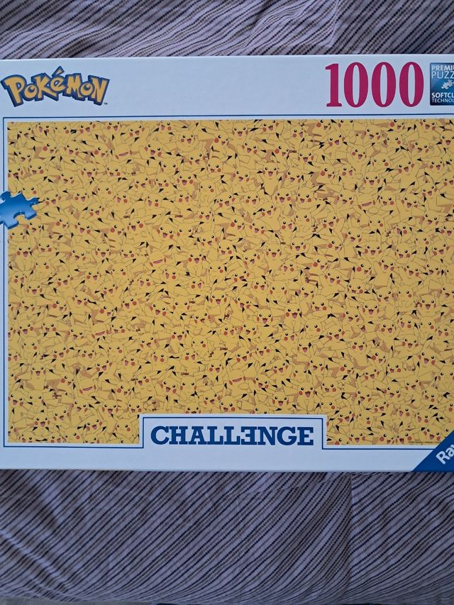 Puzzle pokemon