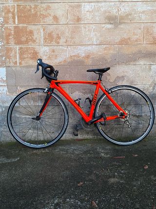 Bicicleta carretera Ditec 890 