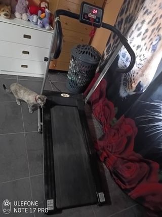 Vendo cinta de correr y escalar