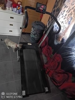 Vendo cinta de correr y escalar