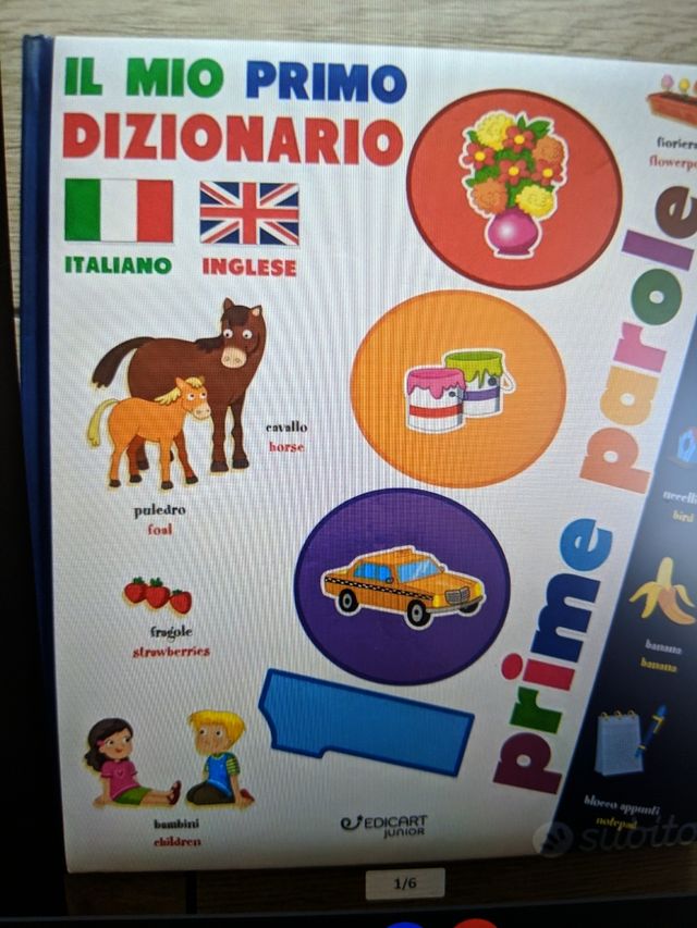 Il mio primo dizionario italiano-inglese. 1000 prime parole. Ediz. a colori