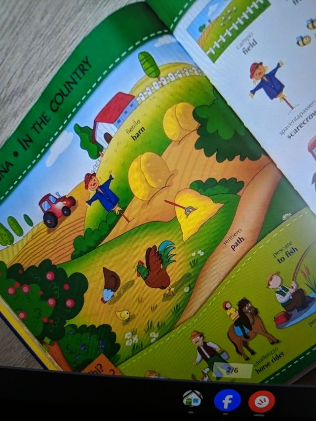 Il mio primo dizionario italiano-inglese. 1000 prime parole. Ediz. a colori