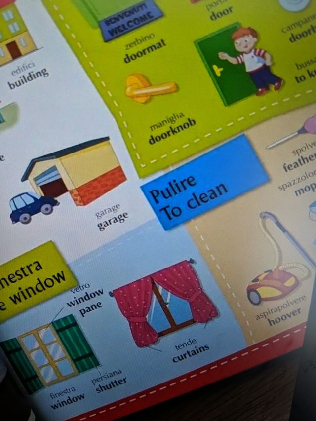 Il mio primo dizionario italiano-inglese. 1000 prime parole. Ediz. a colori