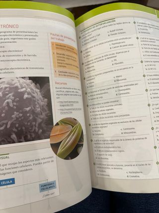 BIOLOGIA Y GEOLOGIA 1º BACHILLERATO