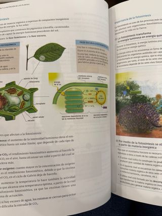BIOLOGIA Y GEOLOGIA 1º BACHILLERATO