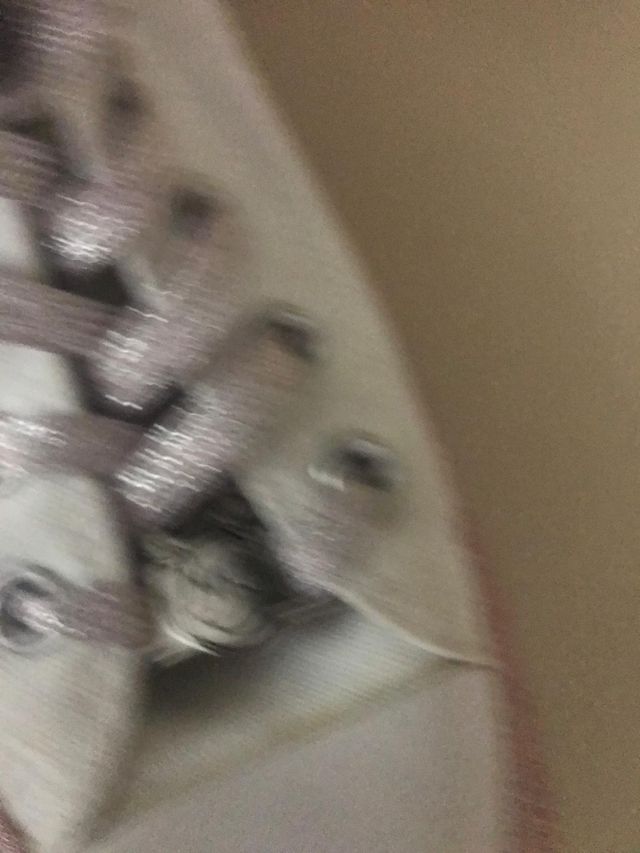 Conve All Star n 36.5