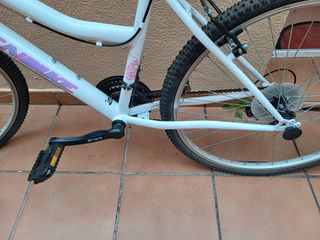 Bicicleta de montaña