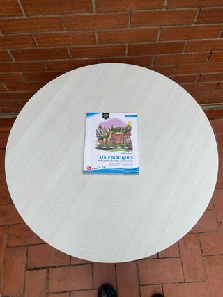 ÚLTIMOS DÍAS! Litera juvenil y mesa. Se puede ver.