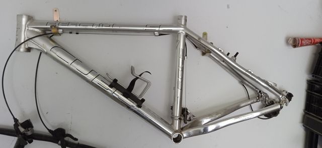 CUBE REACTION RACE SC