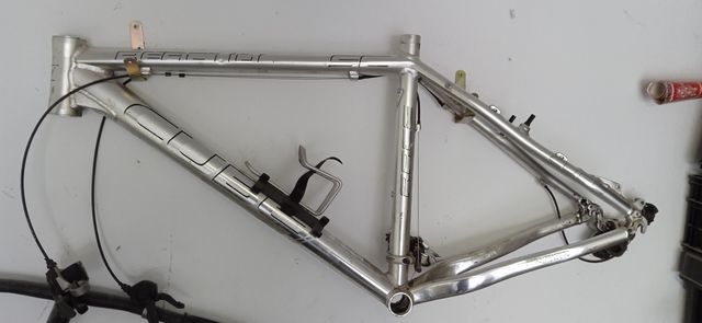 CUBE REACTION RACE SC