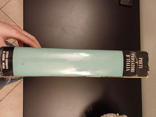 Poeti e prosatori d'Italia