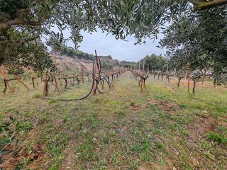 Terreno en venta en Can Gili - Congost en Granollers