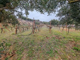 Terreno en venta en Can Gili - Congost en Granollers
