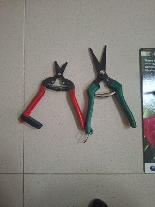Tijeras recolectoras