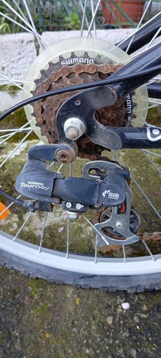 Bicicleta de montaña