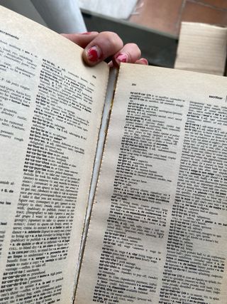 Diccionario español inglés Larousse